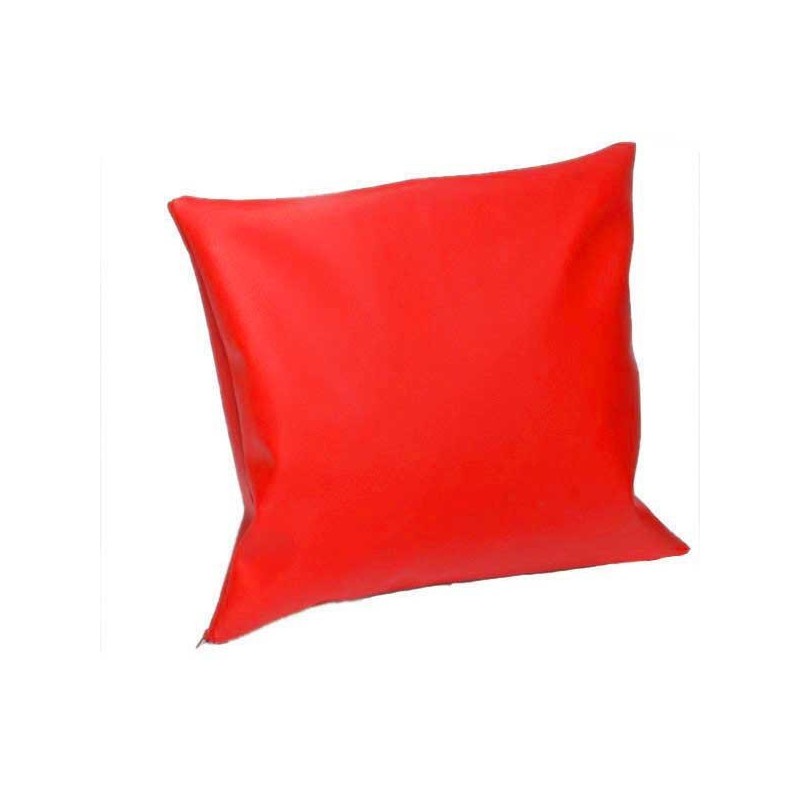 COUSSIN OREILLER