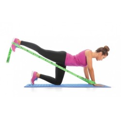 MULTI ELASTIBAND