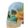 CRANE ARTICULE DIDACTIQUE COULEUR