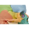 CRANE ARTICULE DIDACTIQUE COULEUR