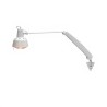 LAMPE INFRAROUGE PRO 250W