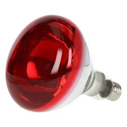 AMPOULE IR 250 W
