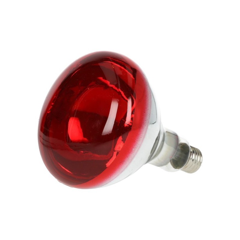 AMPOULE IR 250 W AMPOULE IR 250 W