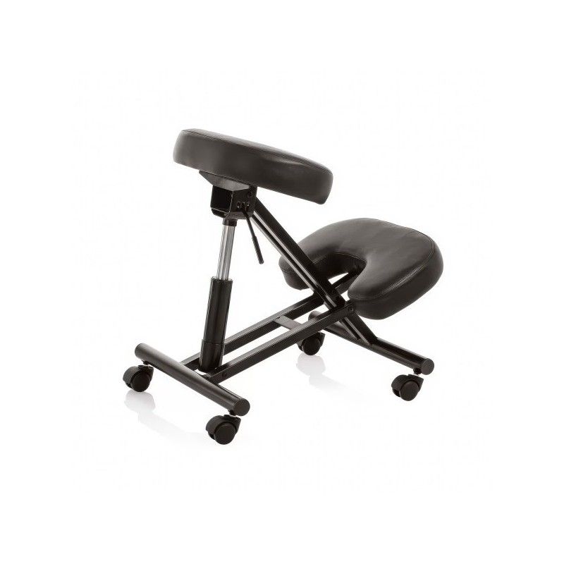 SIEGE ERGONOMIQUE SIEGE ERGONOMIQUE